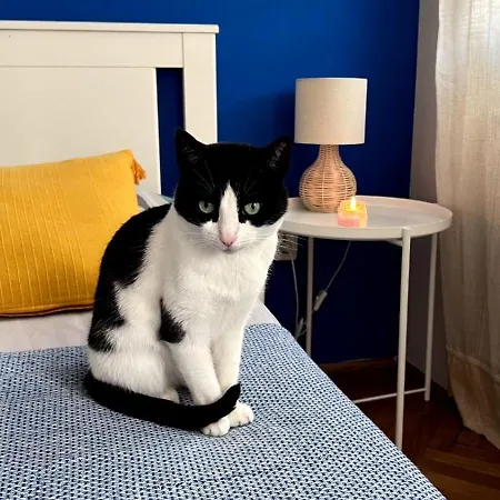 Apartman Home-Like Studio Walking Distance To The Old Town L Breakfast L Novi Sad Fair Nearby