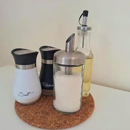 Home-Like Studio Walking Distance To The Old Town L Breakfast L Bus Station Nearby * Novi Sad